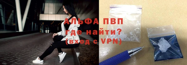 индика Алексин