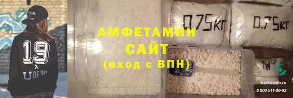 индика Алексин