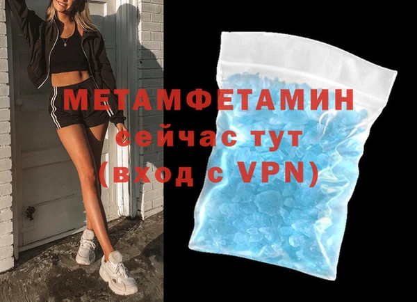 индика Алексин