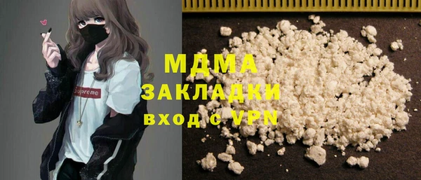 индика Алексин
