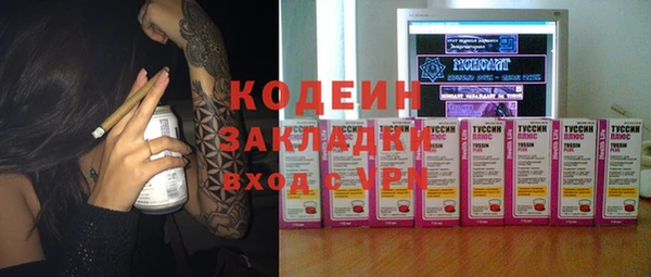 индика Алексин