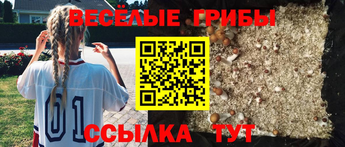 Североуральск  Псилоцибиновые грибы Cubensis  закладки  Вход с VPN 