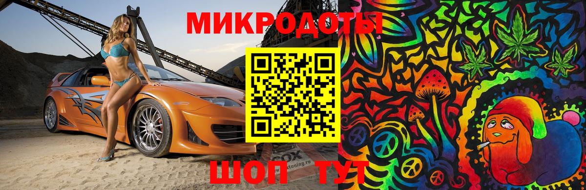 Галлюциногенные грибы Psilocybe Североуральск